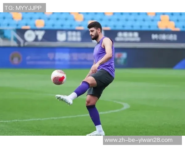 以哈字为名的足球明星有哪些他们的成就和影响力如何解析